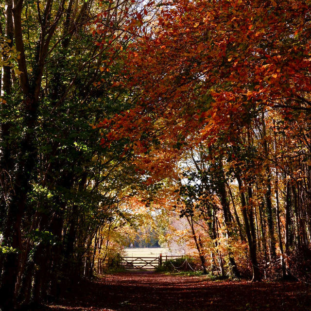 Wandlebury Country Park