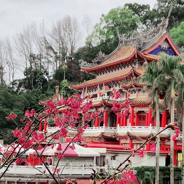 台北貓空春季賞櫻輕縱走推薦