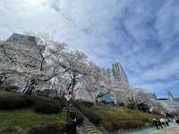 釜山春日絕景：溫泉川櫻花隧道與我相遇的一天