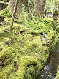 【石川×那谷寺】緑の苔に覆われた境内  羽織、番傘レンタルが無料
