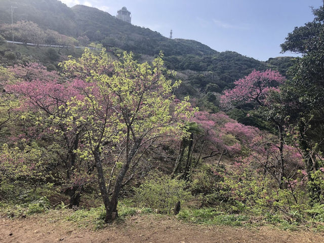 八重岳（Mount Yaedake）
