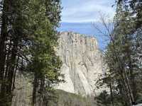 Grateful for a Spring Escape to Yosemite