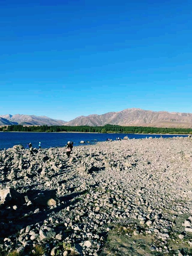新西蘭著名旅遊小鎮蒂卡波的旅行攻略，適合打卡拍照📸