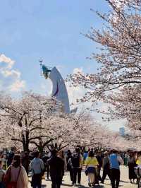 大阪賞櫻-萬博紀念公園，來張太陽之塔與櫻花同框合照！