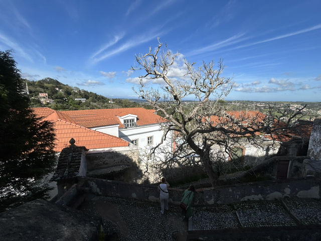Gardens with a view 