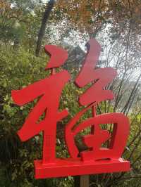 Jingci Temple: Echoes of Serenity Near West Lake 🍃🔔