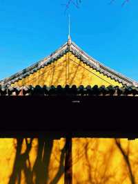 中國上海著名寺廟景點：龍華寺，適合打卡拍照📸