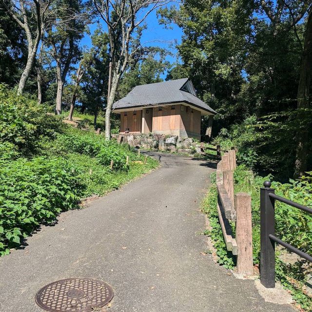 Kinugasayama Park, Yokosuka