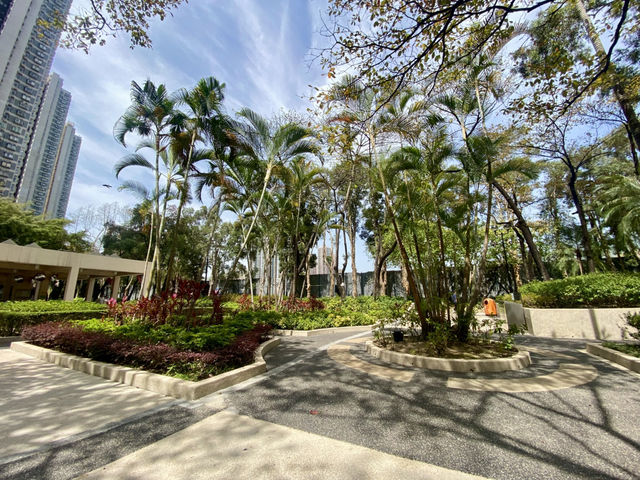享受陽光溫暖與自然之美☀️🌱荃灣海濱公園✨🌊