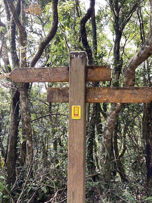 新店第一高峰-獅仔頭山｜古道遺跡探險路線推薦！