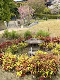 Hidden Spring Gem in the City: Meguro Sky Garden