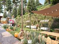 Farm& resort 