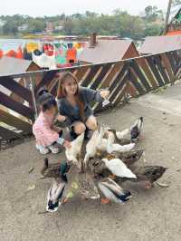 親子旅遊神選！西湖渡假村一泊三食＋無限設施玩到不想回家！ 平日 $3XXX 住渡假村還送三餐？太划算了吧！
