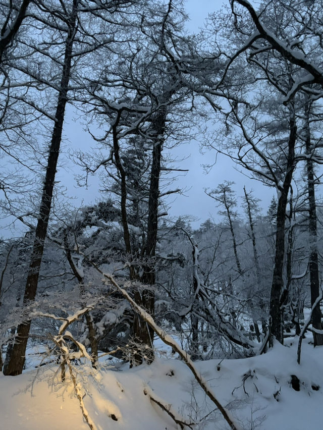 So much fun and unforgettable experience hike at Mount Fuji
