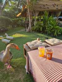 KANIN CAFE : นนทบุรี