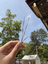 武田神社で見つけた、ちいさな幸運