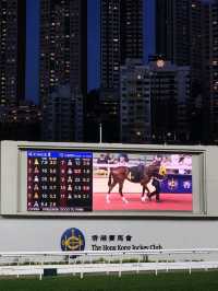 홍콩 여행에서 수요일 마다 열리는 해피 밸리 경마장은 필수 코스🐴
