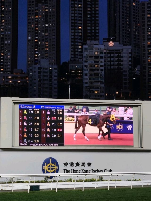 홍콩 여행에서 수요일 마다 열리는 해피 밸리 경마장은 필수 코스🐴