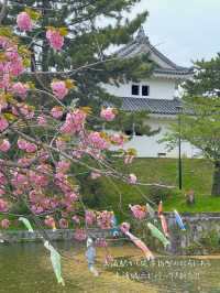 江戸時代から残る櫓門など、歴史感じる土浦城🏯