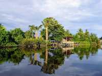 🌿 Klias Wetland Adventures: Fireflies, Proboscis Monkeys & Muddy Mischief! 🐒