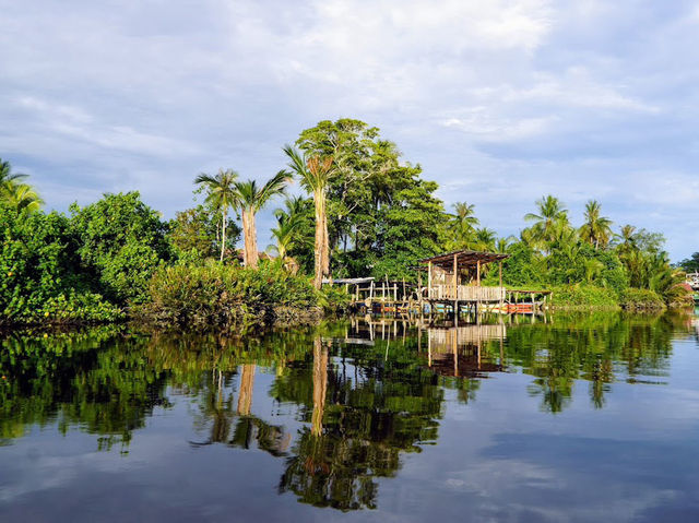 🌿 Klias Wetland Adventures: Fireflies, Proboscis Monkeys & Muddy Mischief! 🐒