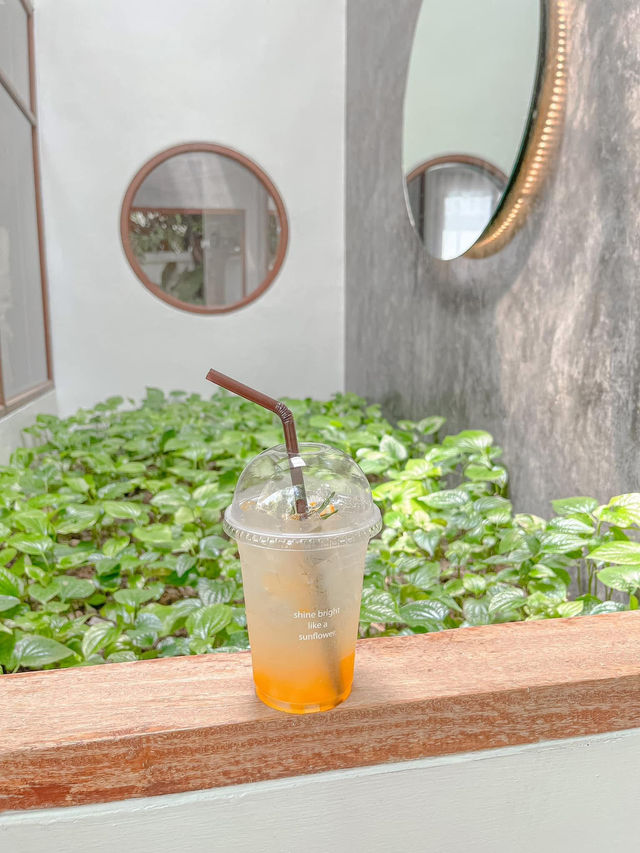 มัดรวมคาเฟ่สไตล์ญี่ปุ่น ที่อยุธยา