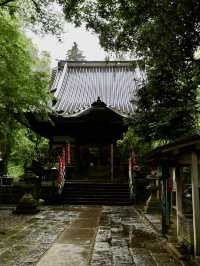 【東京🇯🇵】あいにくの天気でも楽しめる町田散歩Day