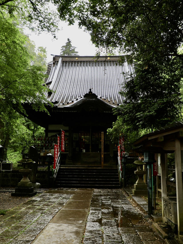 【東京🇯🇵】あいにくの天気でも楽しめる町田散歩Day