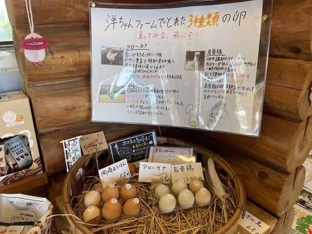 🇯🇵【愛媛県】ログハウス弓削！海沿いの島らしいお土産屋さん