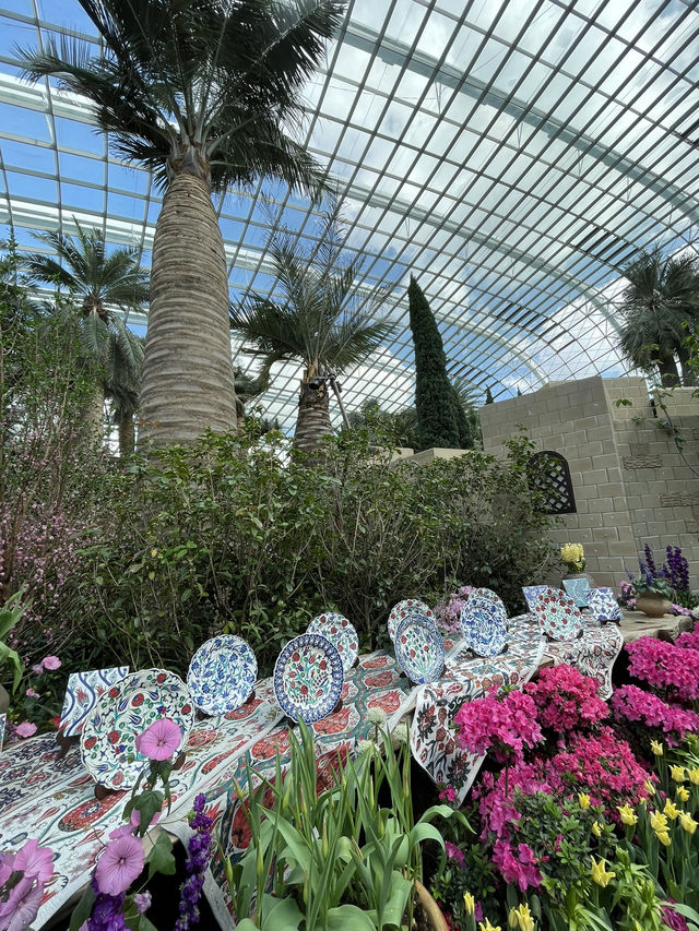 🇸🇬 Tulipmania is back in Flower Dome ! 
