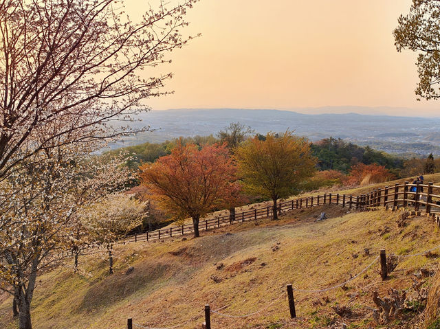 Sunset hike above Nara
