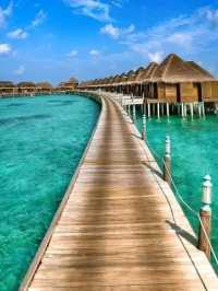 🏝️✨ Dive into Paradise: My Magical Journey in the Maldives! ✨🏝️