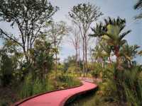 🌿 Escape to Nature: A Perfect Day at Jurong Lake Gardens, Singapore  