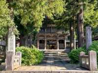 報恩寺で歴史に触れ、心を整える🕊️