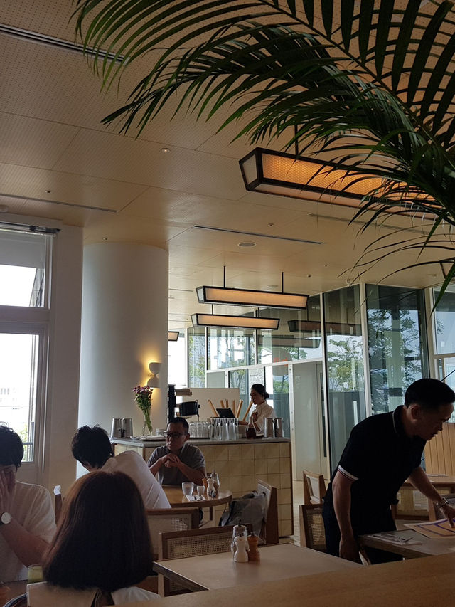 🥞 “전설의 리코타 팬케이크, 도쿄 브런치의 정석 – bills 오모테산도점”
