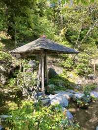 黄金に輝く静寂の世界、京都・金閣寺の魅力