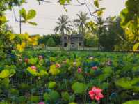 Quảng Trị