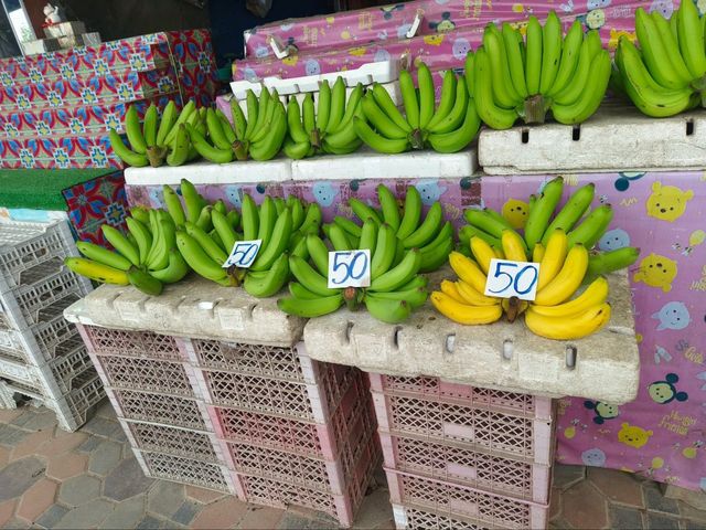 ตลาดไทยสามัคคี วังน้ำเขียว