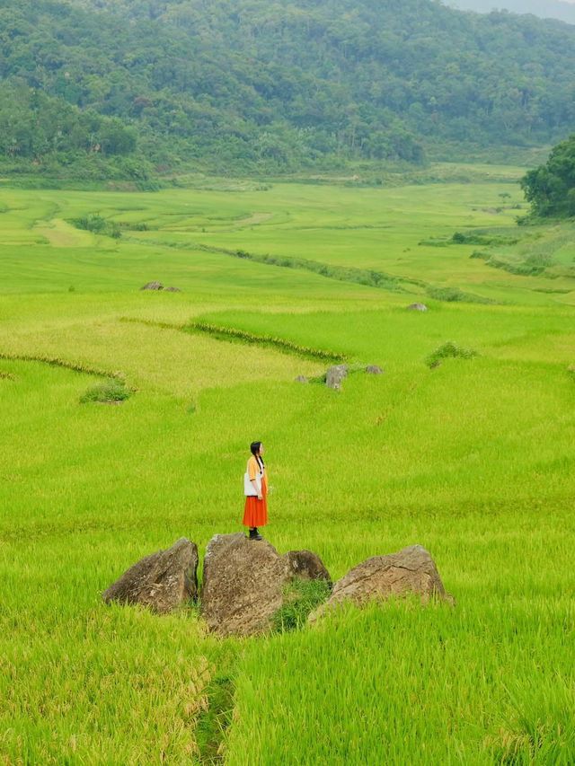 Pù luông