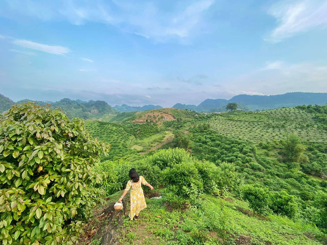 Mai Châu, Mộc Châu