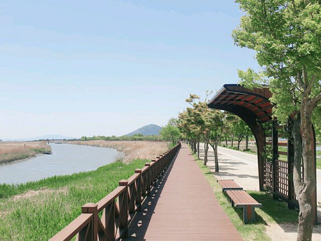 살아있는 자연 순천만습지 
