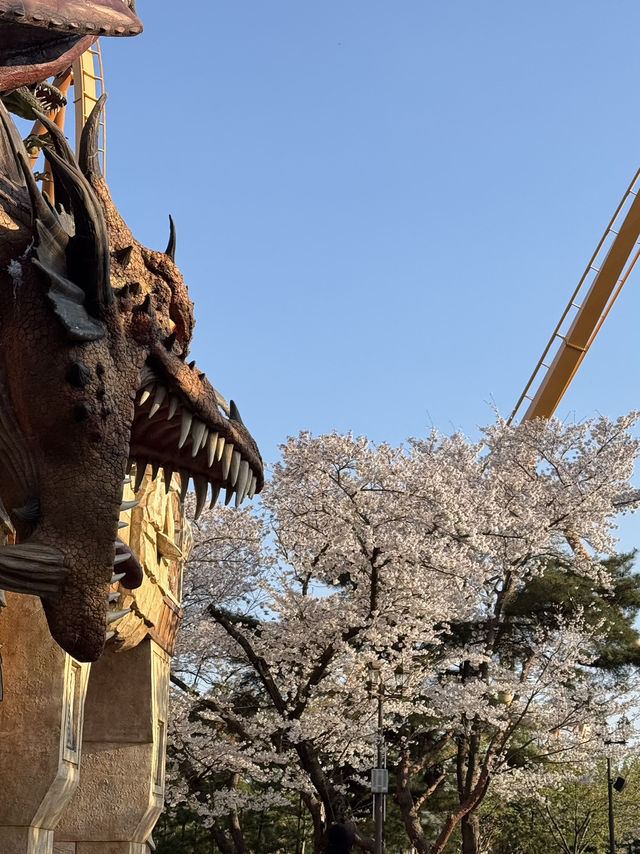 경주 여행코스 총정리🌸