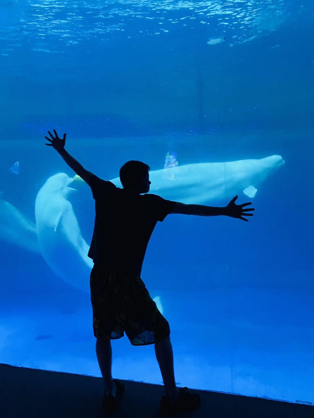 I’m fascinated by ocean creatures.