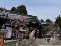 Kasugataisha Shrine