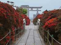 Shrine with Major Flower Power