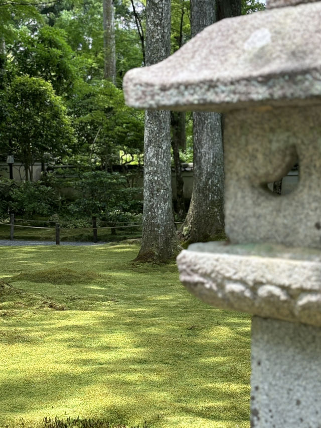 京都三千院的綠色青苔🍃🏯