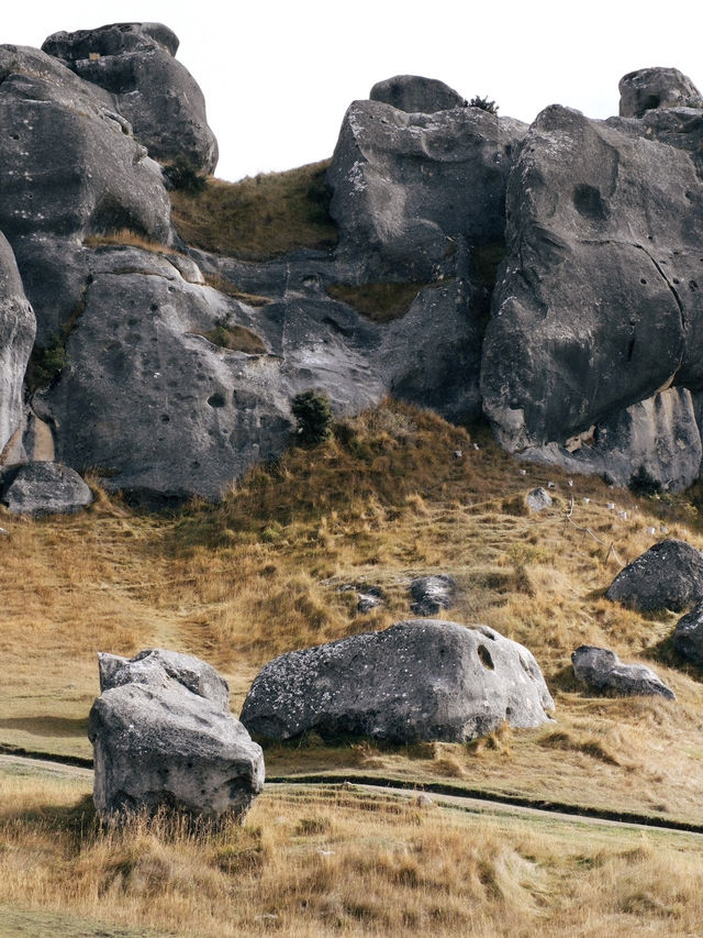 ขับรถเที่ยวเกาะใต้นิวซีแลนด์ - Castle Hill
