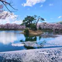 Cherry Blossoms and Riverbank Strolls Done Right