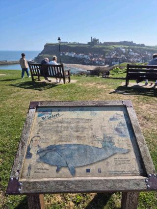 whitby 