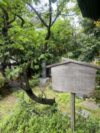 【東京都大門🇯🇵芝大神宮】源頼朝や徳川家康が崇敬した歴史のある神社
